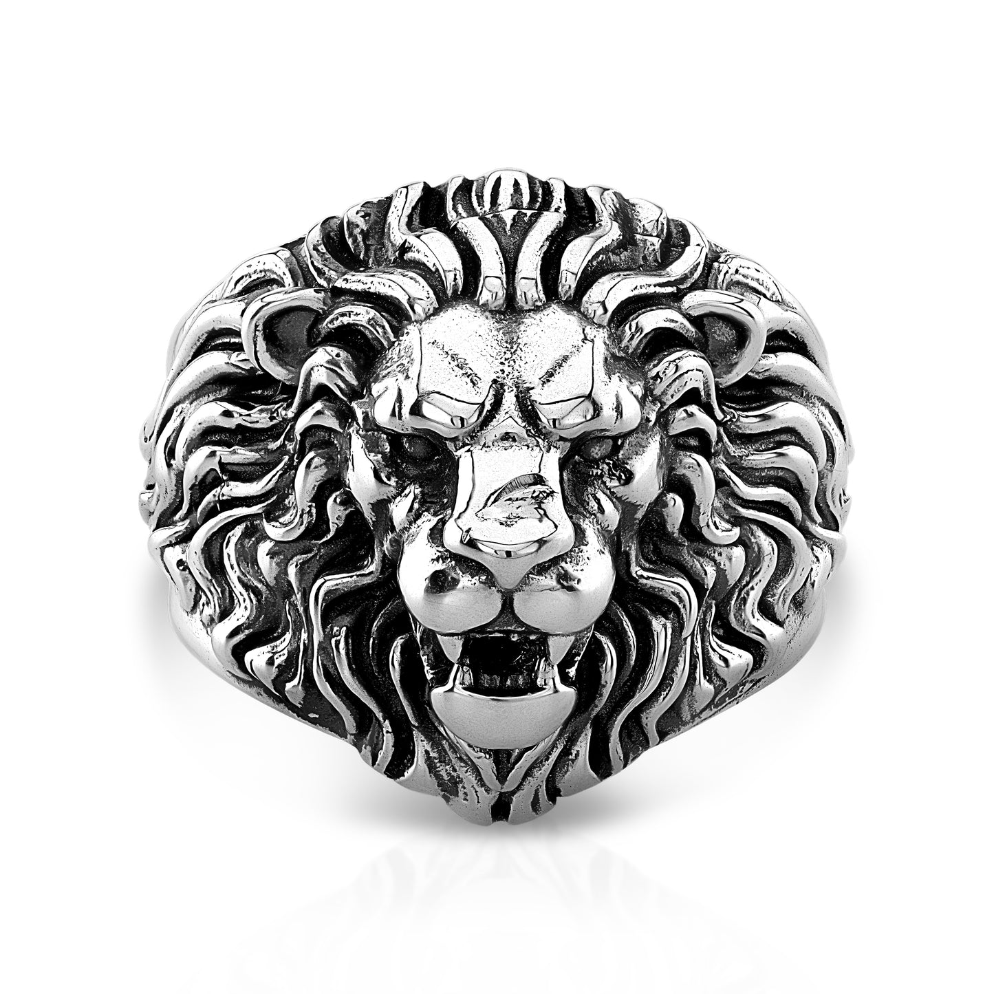 Lion Ring 2024