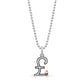 Sterling Silver Currency Pendants with Gold Skull
